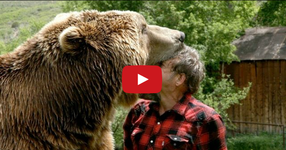 Мъж си играе с мечка гризли като с кученце - НЯМА ТАКИВА КАДРИ... (ВИДЕО)