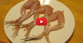 ШОКИРАЩО!!! Не можете да си представите какво се случва, когато поръсите жабешки бутчета със сол! (ВИДЕО)