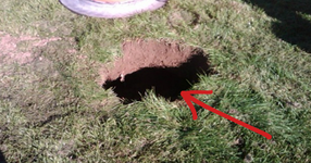 Селянин видял дупка в полето! Това, което открил под нея, изненадало целия свят! (СНИМКИ)