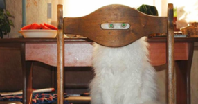 Една фотогалерия, която ще ви накара да се усмихнете! (СНИМКИ)