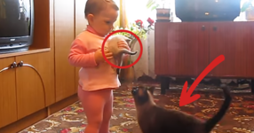 Детето взима малкото котенце и го вдига. ВИЖТЕ тогава реакцията на мама-котка! (ВИДЕО)