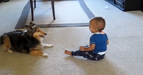 Куче и дете играят заедно по възхитителен начин. Най-сладкото видео, което може да видите! (ВИДЕО)