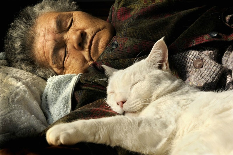 баба и котка