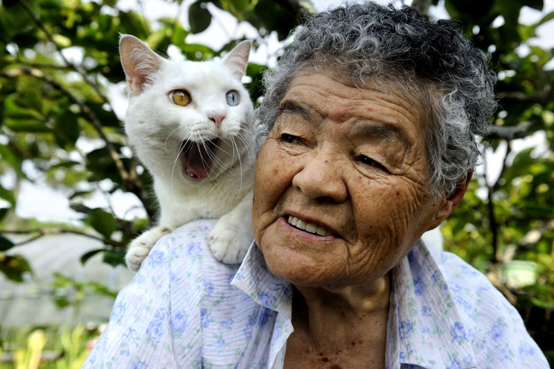 баба и котка