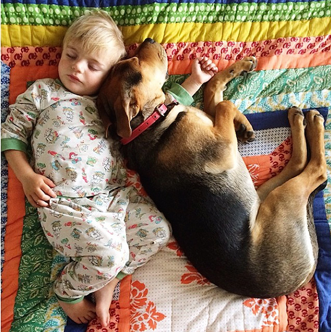 история с бебе и куче
