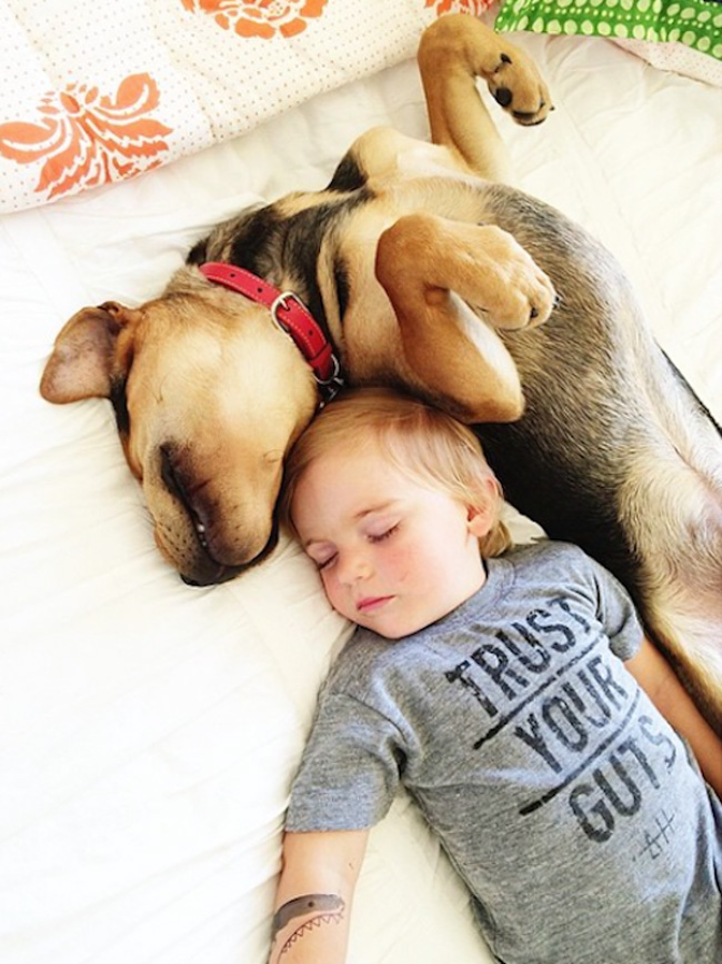 история с бебе и куче