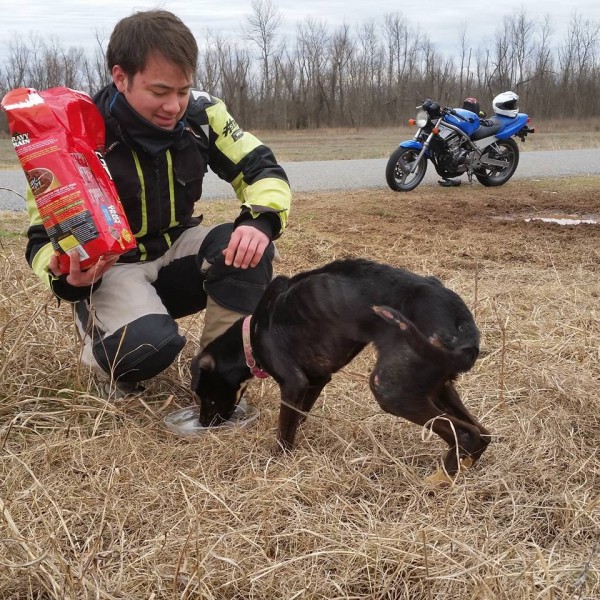 спасено куче Charlie Bravo